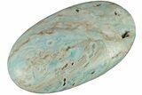 Polished Blue Caribbean Calcite Palm Stone #187865-1